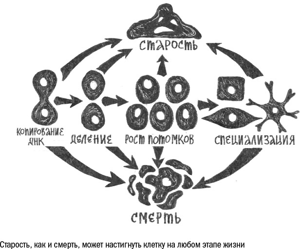 Иллюстрация к книге — Против часовой стрелки [i_038.jpg]
