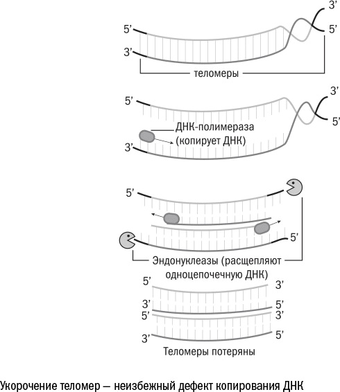 Иллюстрация к книге — Против часовой стрелки [i_040.jpg]