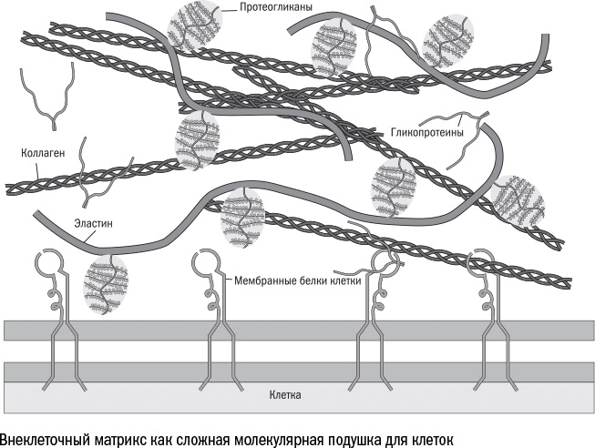 Иллюстрация к книге — Против часовой стрелки [i_043.jpg]