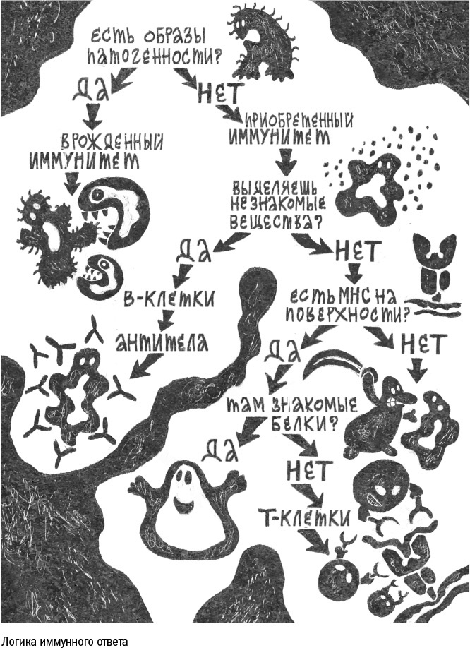 Иллюстрация к книге — Против часовой стрелки [i_056.jpg]