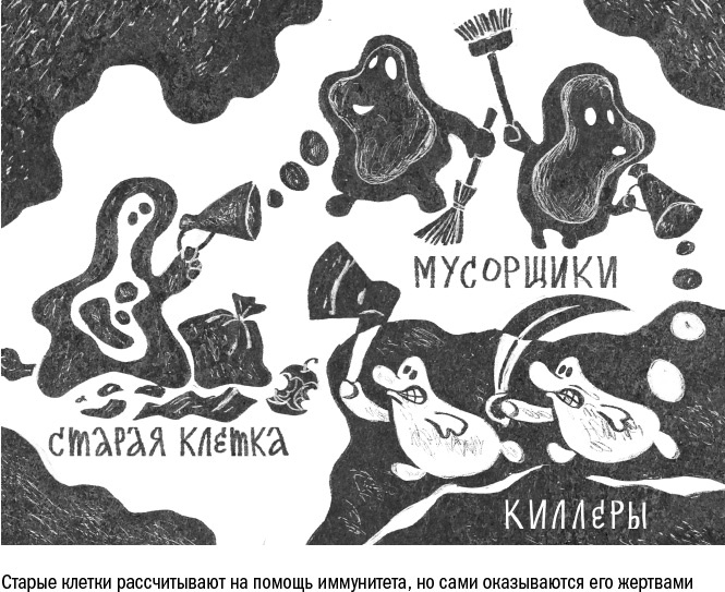 Иллюстрация к книге — Против часовой стрелки [i_057.jpg]