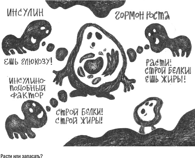 Иллюстрация к книге — Против часовой стрелки [i_061.jpg]