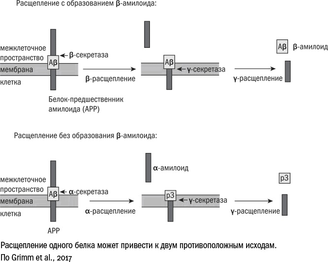 Иллюстрация к книге — Против часовой стрелки [i_070.jpg]