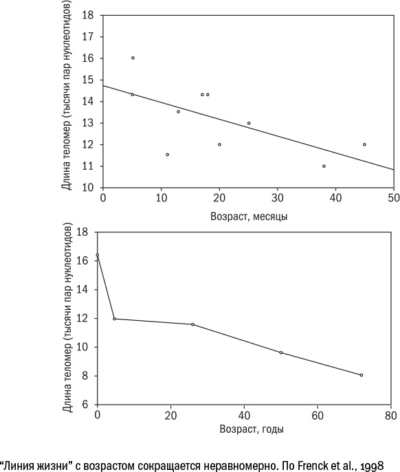 Иллюстрация к книге — Против часовой стрелки [i_077.jpg]