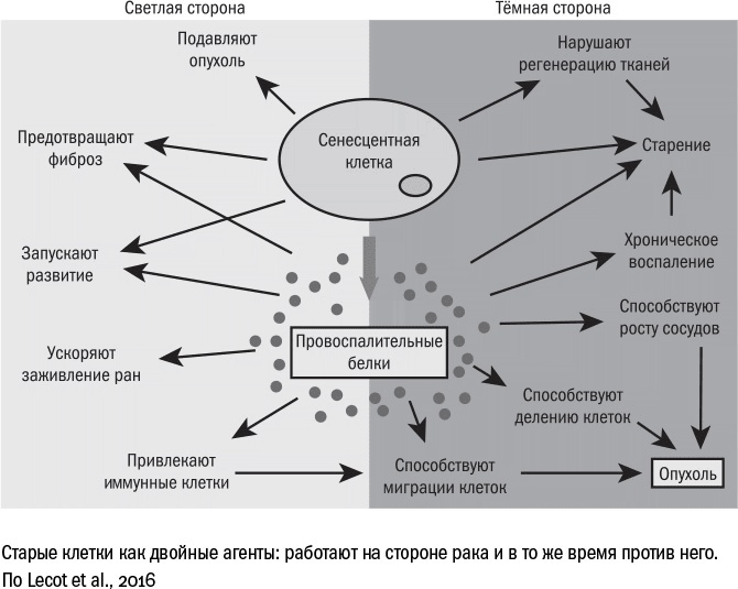 Иллюстрация к книге — Против часовой стрелки [i_094.jpg]