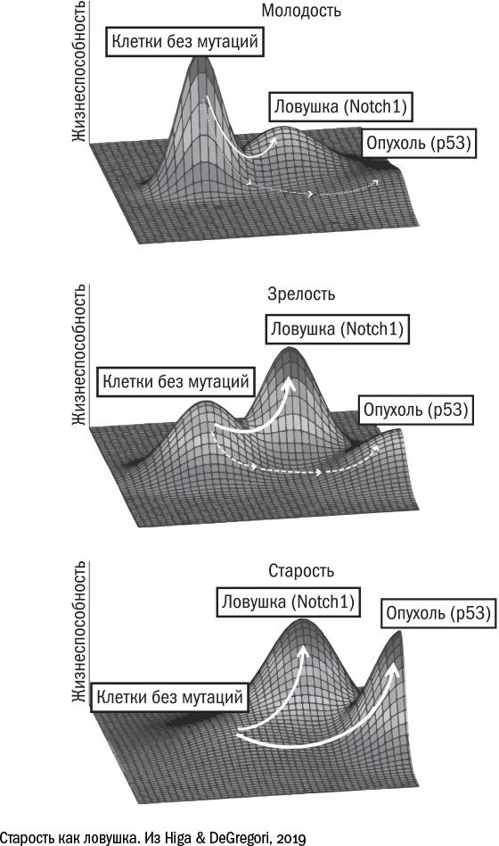 Иллюстрация к книге — Против часовой стрелки [i_095.jpg]