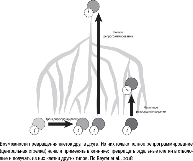 Иллюстрация к книге — Против часовой стрелки [i_102.jpg]