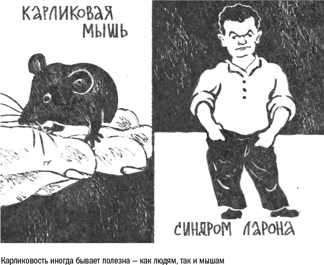 Иллюстрация к книге — Против часовой стрелки [i_107.jpg]