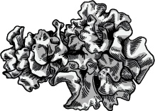 Иллюстрация к книге — J-beauty. Японская революция [i_075.jpg]