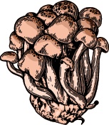 Иллюстрация к книге — J-beauty. Японская революция [i_105.jpg]