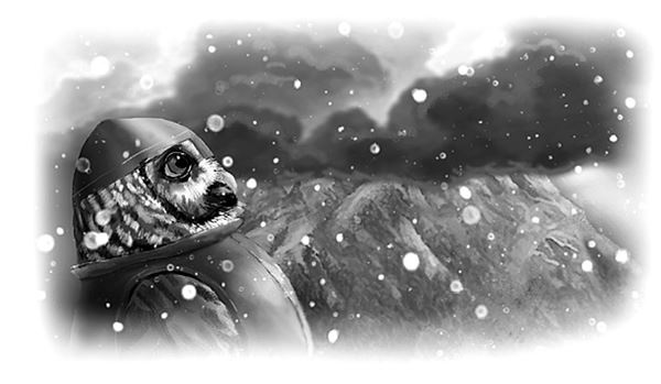 Иллюстрация к книге — Последний огнеястреб. Хрустальные гроты [i_009.jpg]