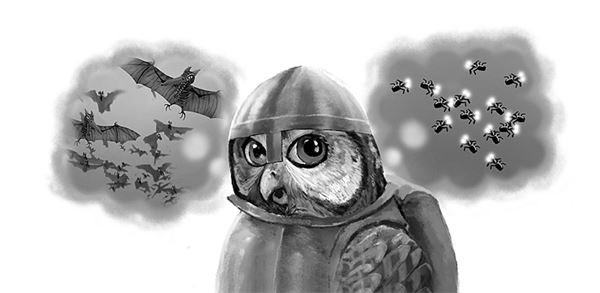 Иллюстрация к книге — Последний огнеястреб. Хрустальные гроты [i_015.jpg]