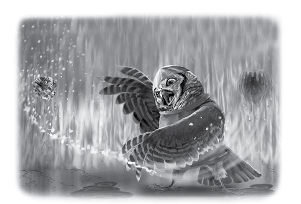 Иллюстрация к книге — Последний огнеястреб. Хрустальные гроты [i_054.jpg]