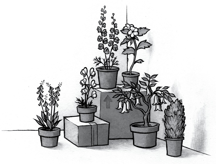 Иллюстрация к книге — Ночные кошмары! Забытая колыбельная [i_007.jpg]