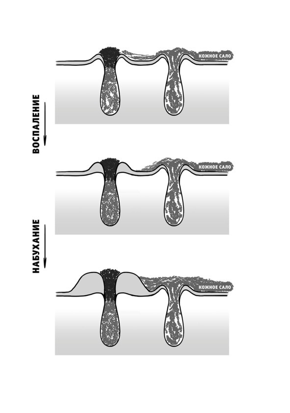 Иллюстрация к книге — Бьютилогия. Наука о красоте для тех, кто знал, но забыл [_10.jpg]