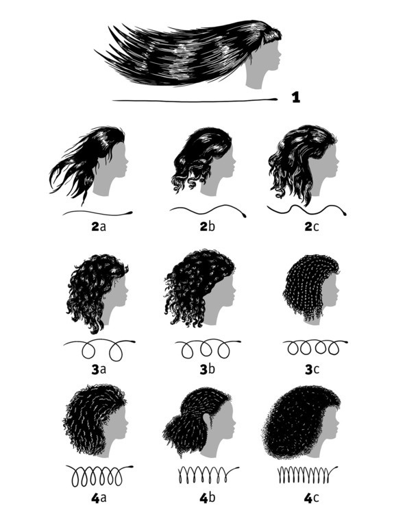 Иллюстрация к книге — Бьютилогия. Наука о красоте для тех, кто знал, но забыл [_17.jpg]