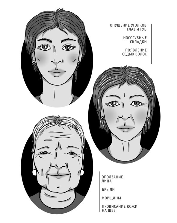 Иллюстрация к книге — Бьютилогия. Наука о красоте для тех, кто знал, но забыл [_21.jpg]