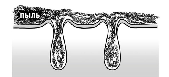 Иллюстрация к книге — Бьютилогия. Наука о красоте для тех, кто знал, но забыл [_4.jpg]