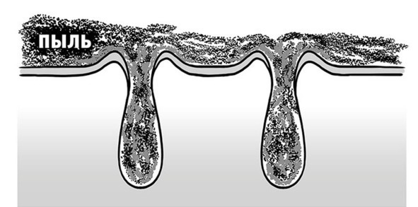 Иллюстрация к книге — Бьютилогия. Наука о красоте для тех, кто знал, но забыл [_5.jpg]