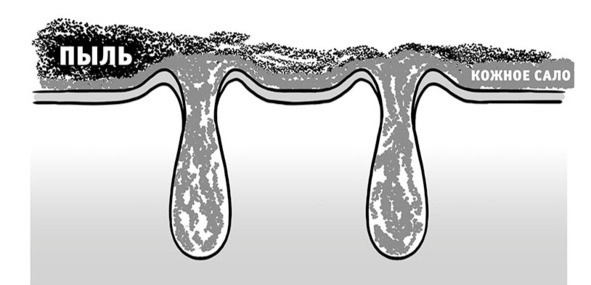 Иллюстрация к книге — Бьютилогия. Наука о красоте для тех, кто знал, но забыл [_6.jpg]