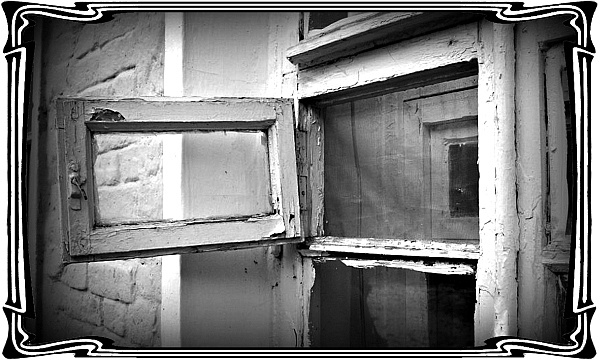 Иллюстрация к книге — Катакомбы военного спуска [i_018.jpg]