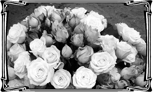 Иллюстрация к книге — Катакомбы военного спуска [i_026.jpg]