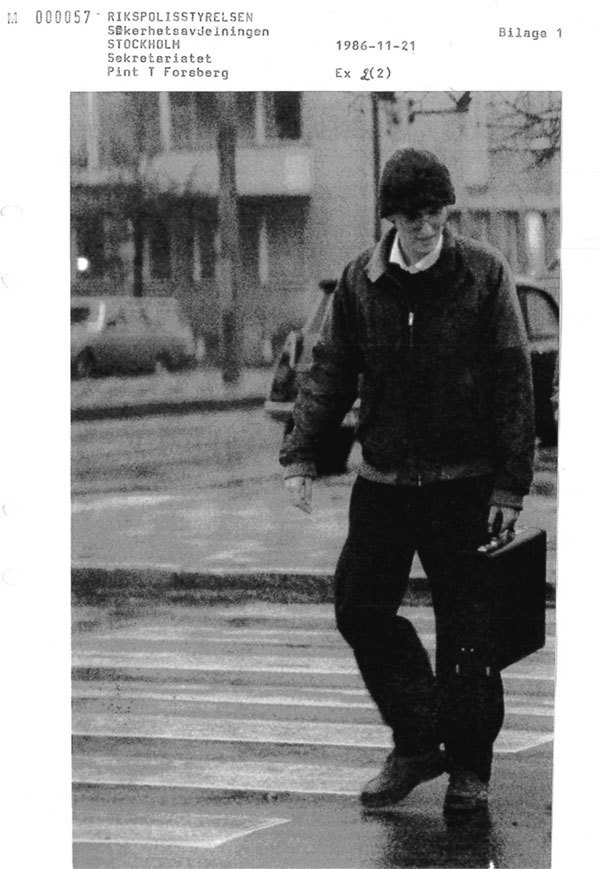 Иллюстрация к книге — Стиг Ларссон: человек, который играл с огнем [i_011.jpg]