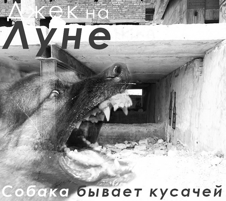 Иллюстрация к книге — Джек на Луне [i_001.jpg]