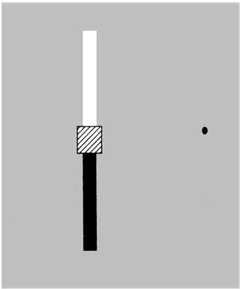 Иллюстрация к книге — Фантомы мозга [i_016.jpg]