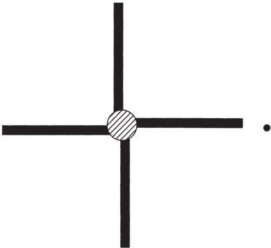 Иллюстрация к книге — Фантомы мозга [i_017.jpg]