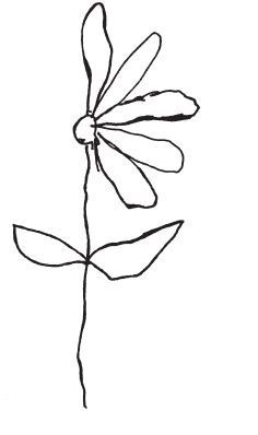 Иллюстрация к книге — Фантомы мозга [i_020.jpg]