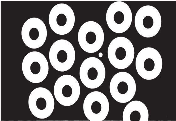 Иллюстрация к книге — Фантомы мозга [i_024.jpg]