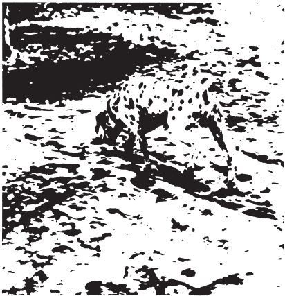 Иллюстрация к книге — Фантомы мозга [i_025.jpg]