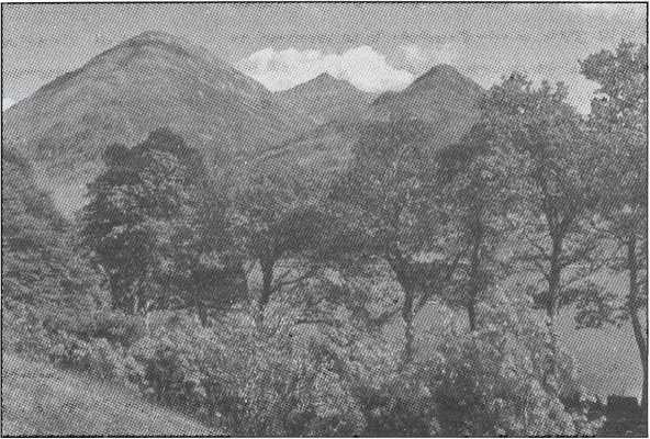 Иллюстрация к книге — Шотландия. Мистическая страна кельтов и друидов [image56.jpg]