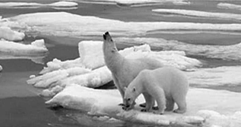 Иллюстрация к книге — Поражай своей презентацией. 30 правил создания впечатляющего слайд-шоу от лучших спикеров TED Talks [i_010.jpg]