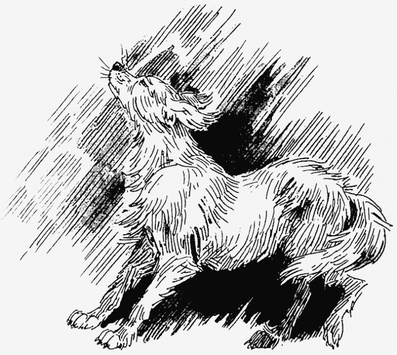 Иллюстрация к книге — Тайный враг [i_008.jpg]