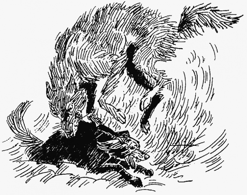 Иллюстрация к книге — Тайный враг [i_014.jpg]