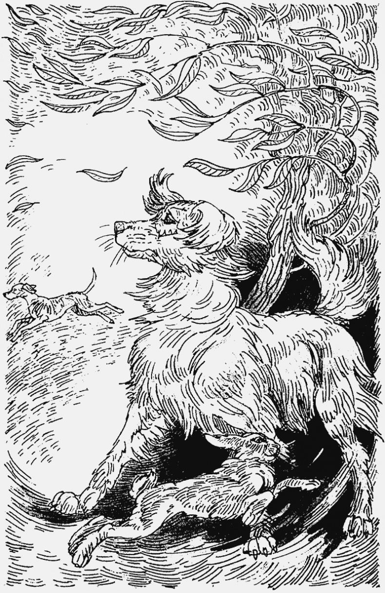 Иллюстрация к книге — Тайный враг [i_015.jpg]