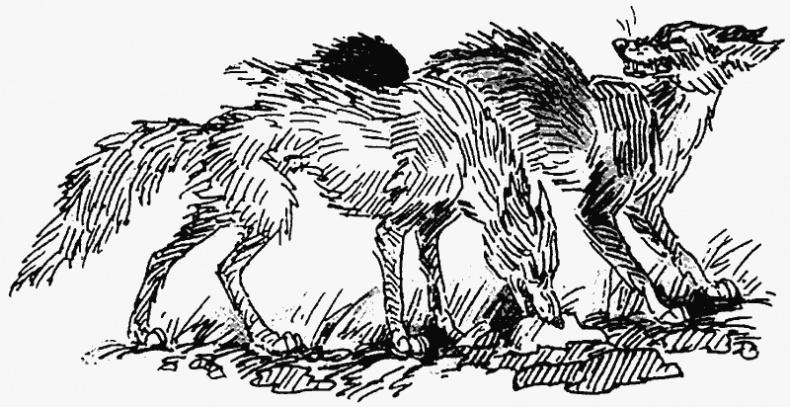 Иллюстрация к книге — Тайный враг [i_016.jpg]