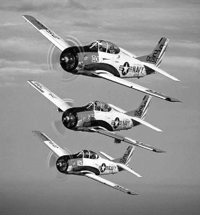 Иллюстрация к книге — Фейк [i_061.jpg]