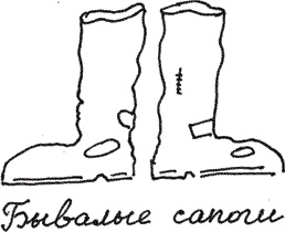 Иллюстрация к книге — Земля Обручева, или Невероятные приключения Димы Ручейкова [i_011.jpg]