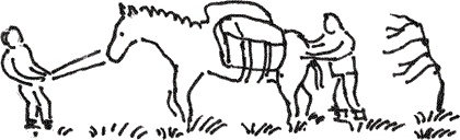 Иллюстрация к книге — Земля Обручева, или Невероятные приключения Димы Ручейкова [i_026.jpg]