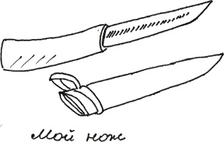 Иллюстрация к книге — Земля Обручева, или Невероятные приключения Димы Ручейкова [i_031.jpg]