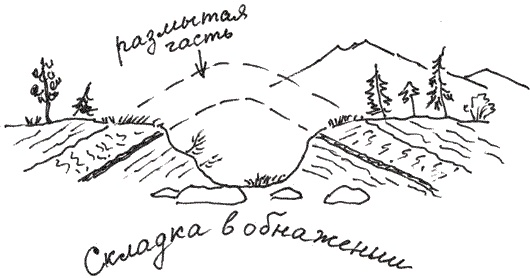 Иллюстрация к книге — Земля Обручева, или Невероятные приключения Димы Ручейкова [i_046.jpg]