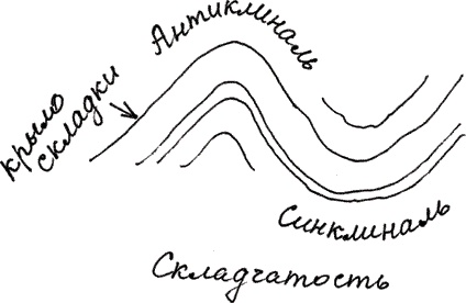 Иллюстрация к книге — Земля Обручева, или Невероятные приключения Димы Ручейкова [i_047.jpg]