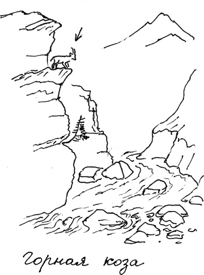 Иллюстрация к книге — Земля Обручева, или Невероятные приключения Димы Ручейкова [i_057.jpg]