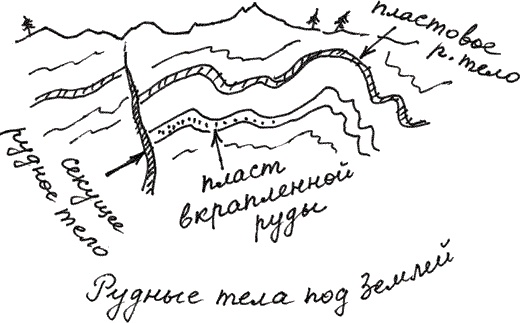 Иллюстрация к книге — Земля Обручева, или Невероятные приключения Димы Ручейкова [i_061.jpg]
