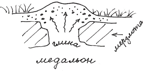 Иллюстрация к книге — Земля Обручева, или Невероятные приключения Димы Ручейкова [i_063.jpg]