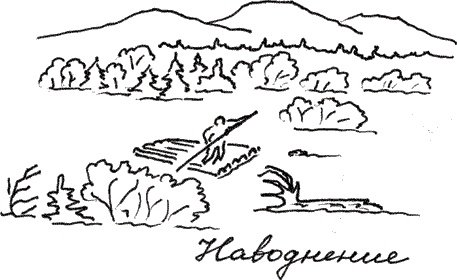 Иллюстрация к книге — Земля Обручева, или Невероятные приключения Димы Ручейкова [i_066.jpg]