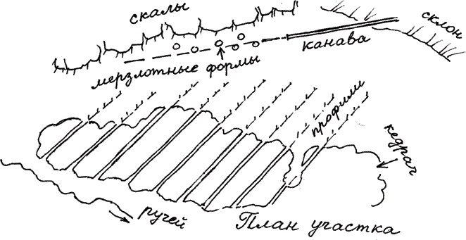 Иллюстрация к книге — Земля Обручева, или Невероятные приключения Димы Ручейкова [i_071.jpg]